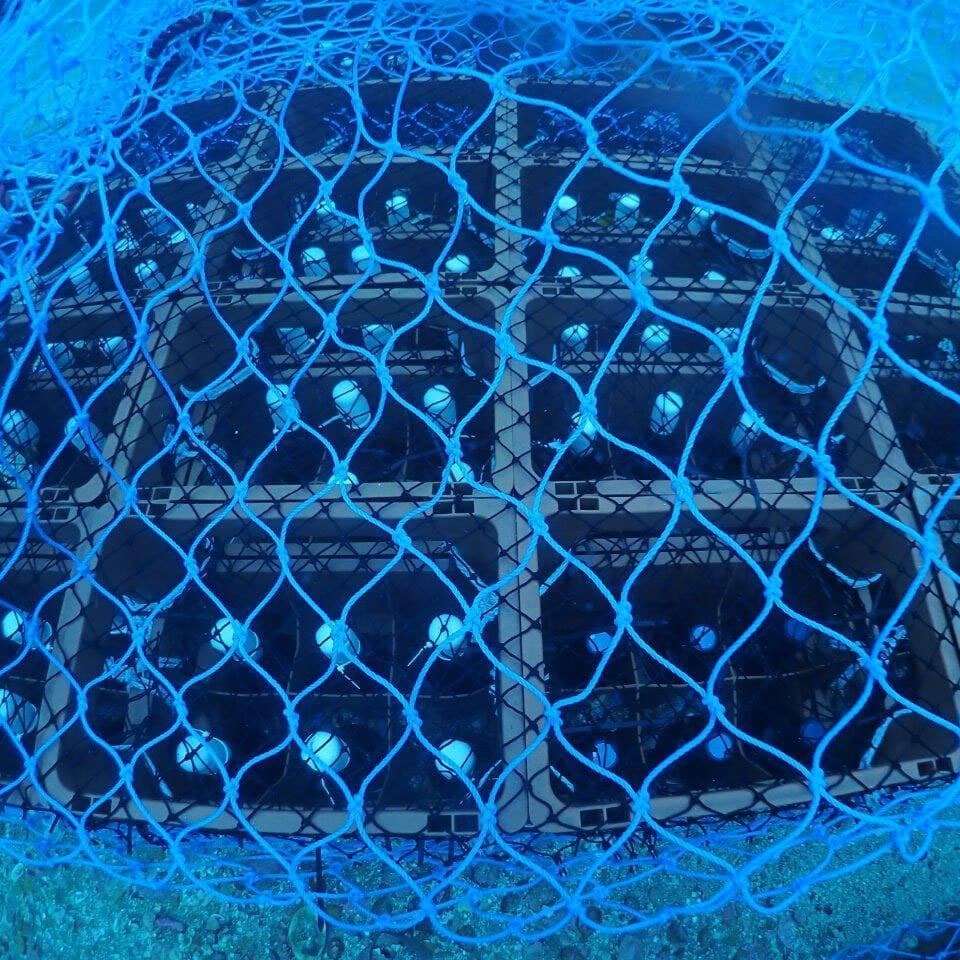 海底熟成